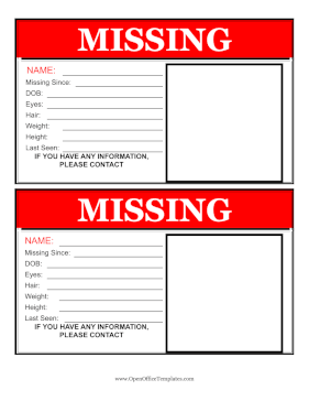 2 Flyers Per Page Missing Person OpenOffice Template