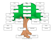 Upside Down Family Tree 3 Generations