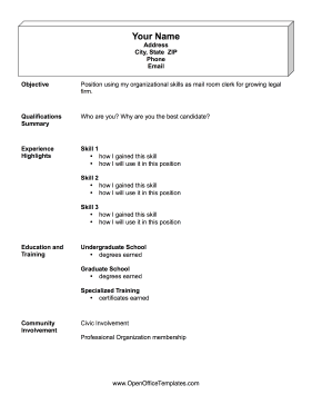 Basic Functional Resume OpenOffice Template