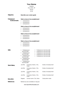 Basic Professional Resume OpenOffice Template