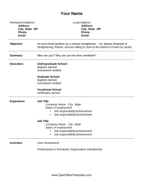 Entry-Level Position Resume OpenOffice Template