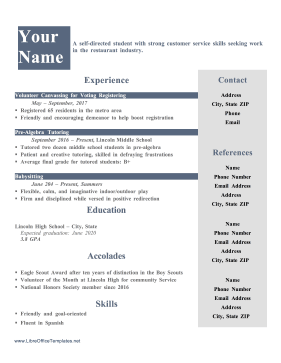 First Job Resume OpenOffice Template
