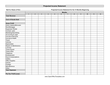 Income Projection Statement OpenOffice Template