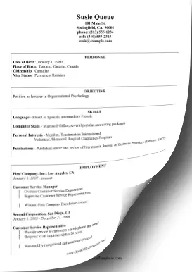 International Curriculum Vitae OpenOffice Template