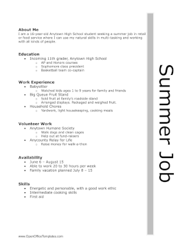 Resume For Summer Work OpenOffice Template