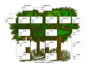 Extended Family Tree
